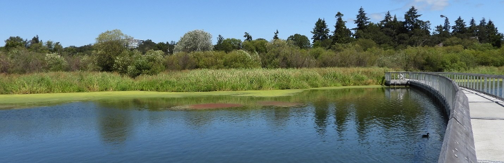 Swan Lake, Victoria, BC, Canada